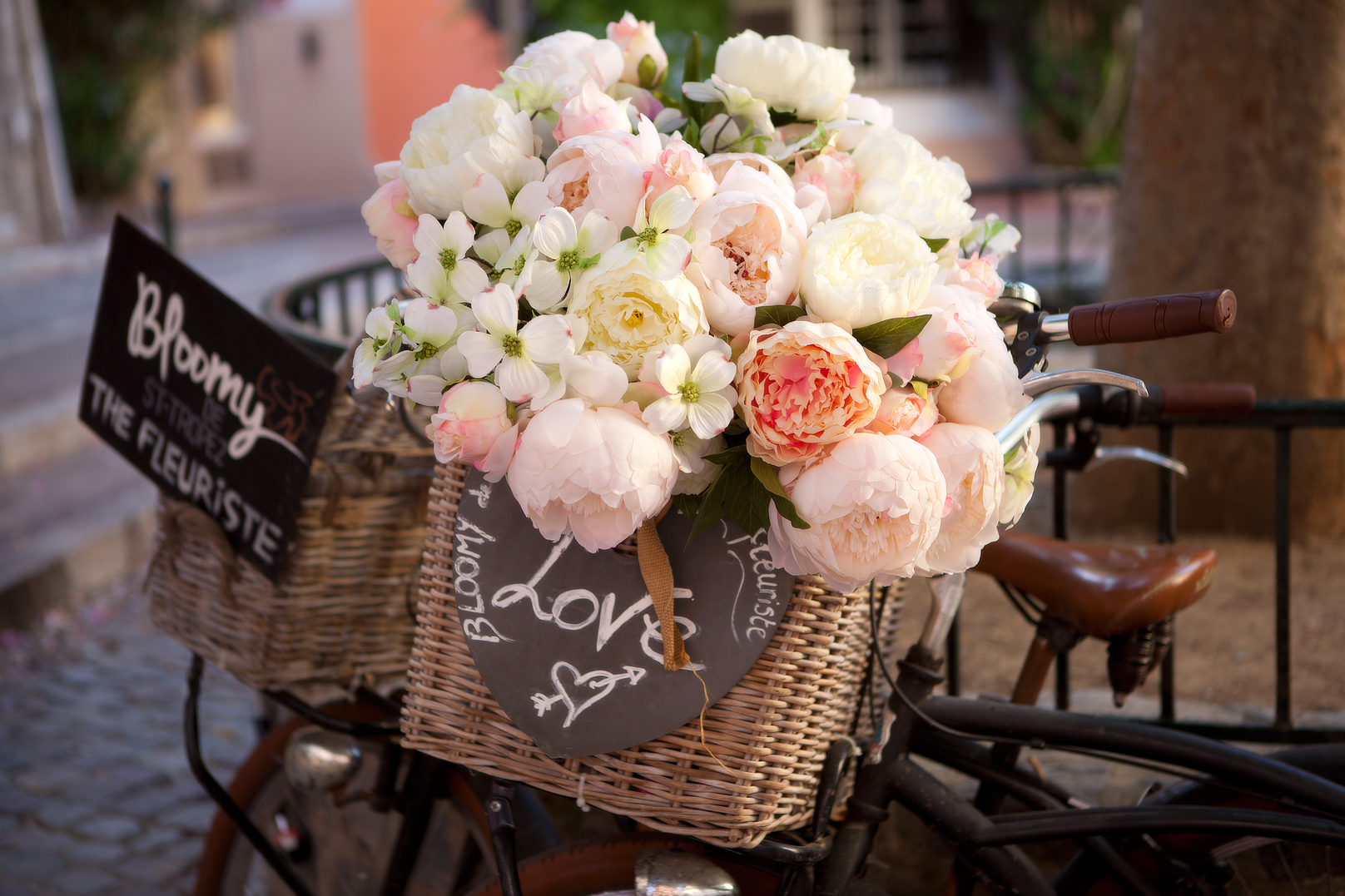 Blumen, © UBG, Alexandra Bernhardt Blumen, © UBG, Alexandra Bernhardt