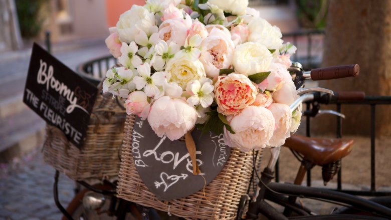 Blumen, © UBG, Alexandra Bernhardt Blumen, © UBG, Alexandra Bernhardt