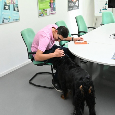 Größeres Bild ansehen